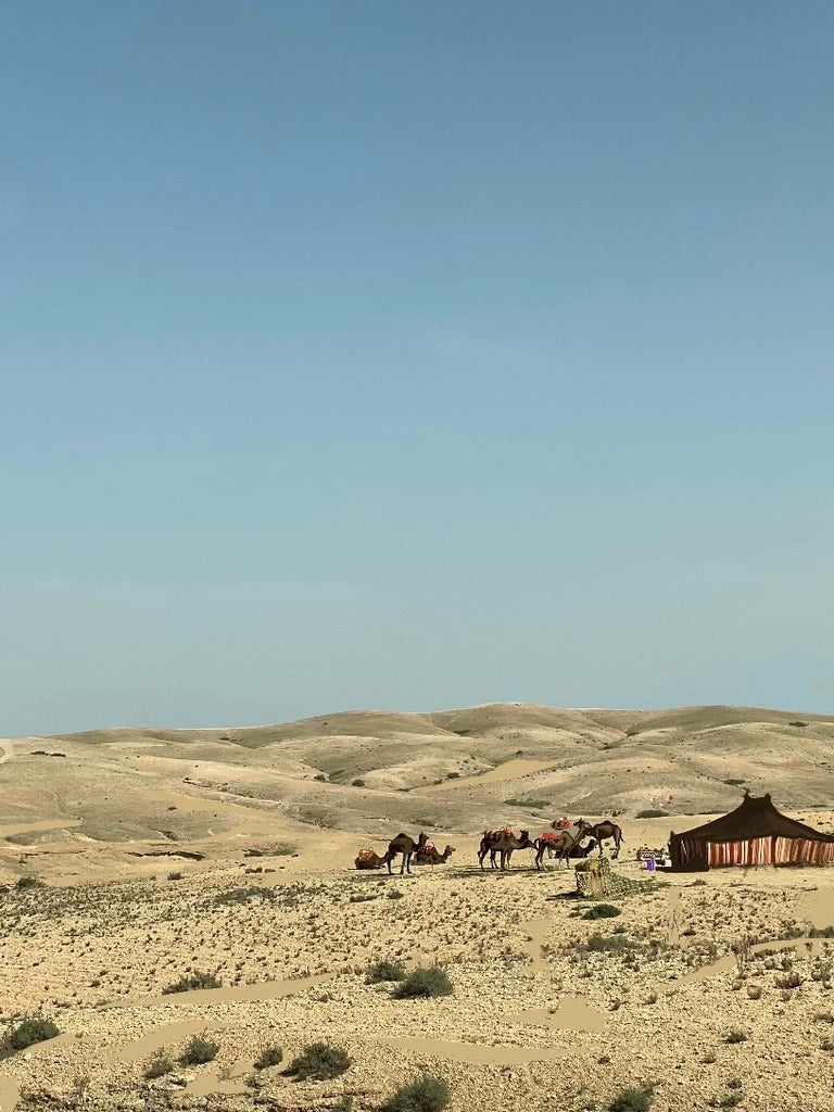 Agafay Desert fine art print of camels and a desert tent under a blue sky