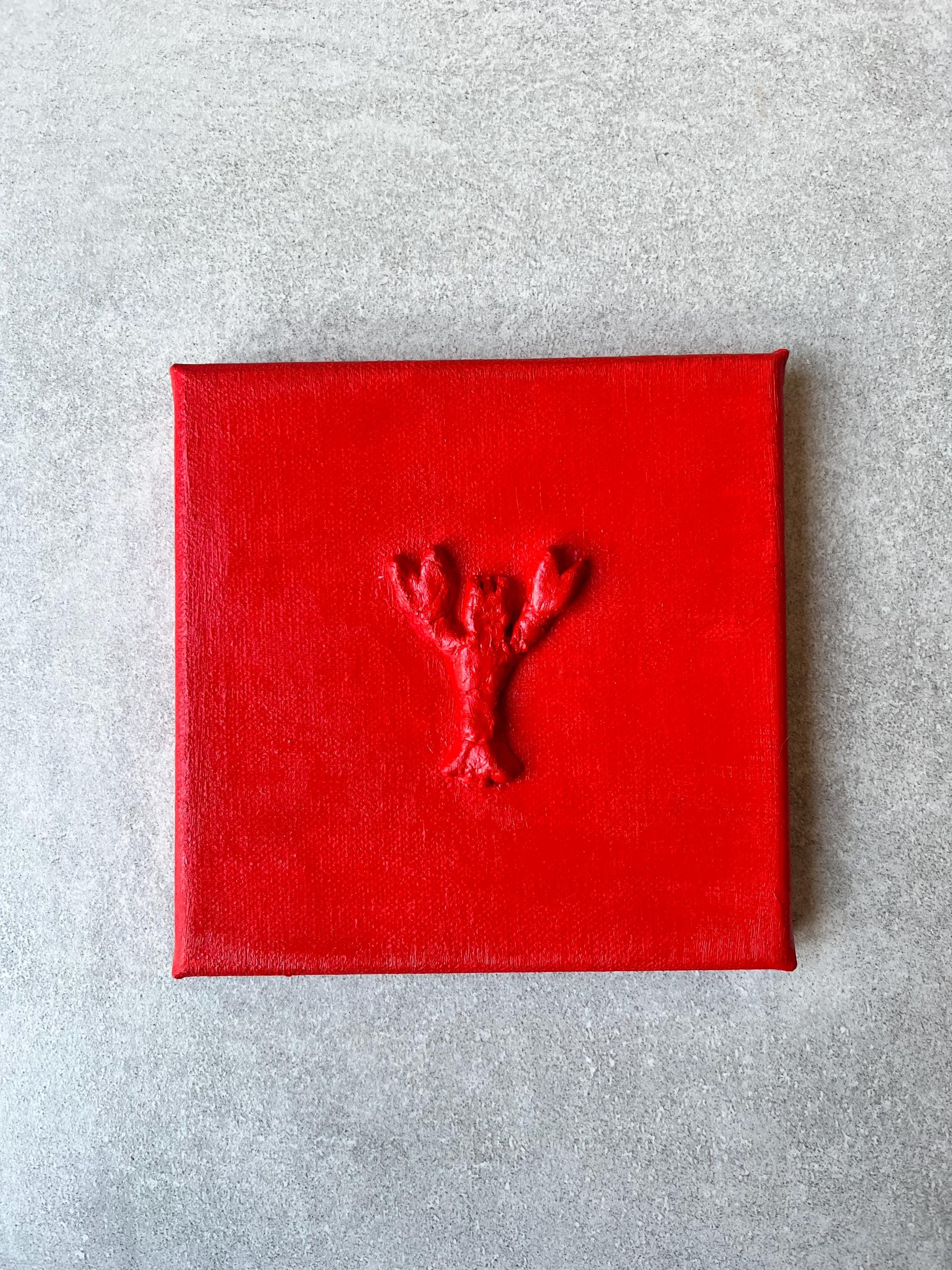 La Mia Piccola Aragosta (My Little Lobster)